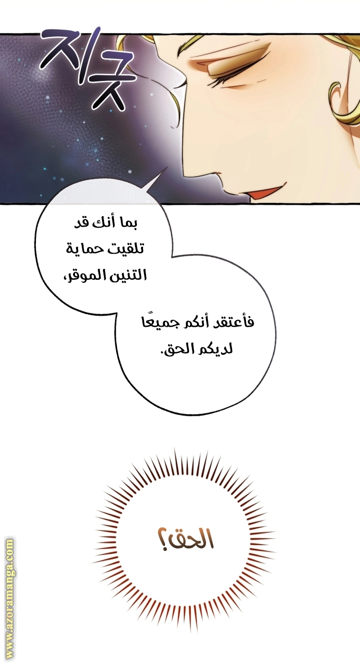 صفحة 31