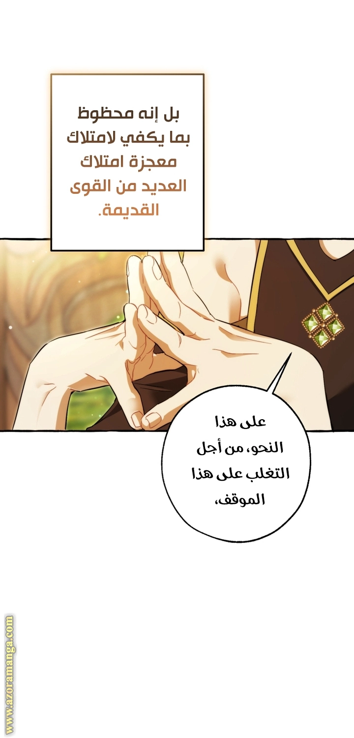 صفحة 41
