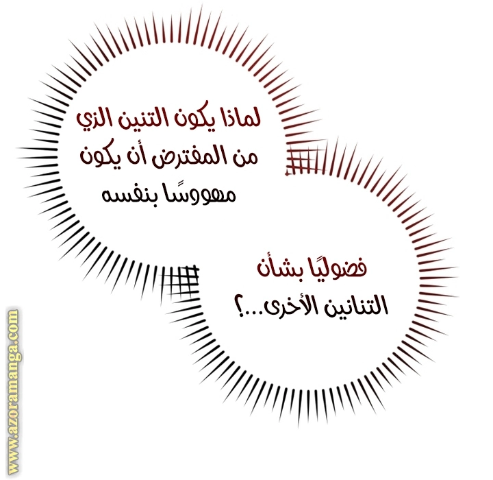 صفحة 45