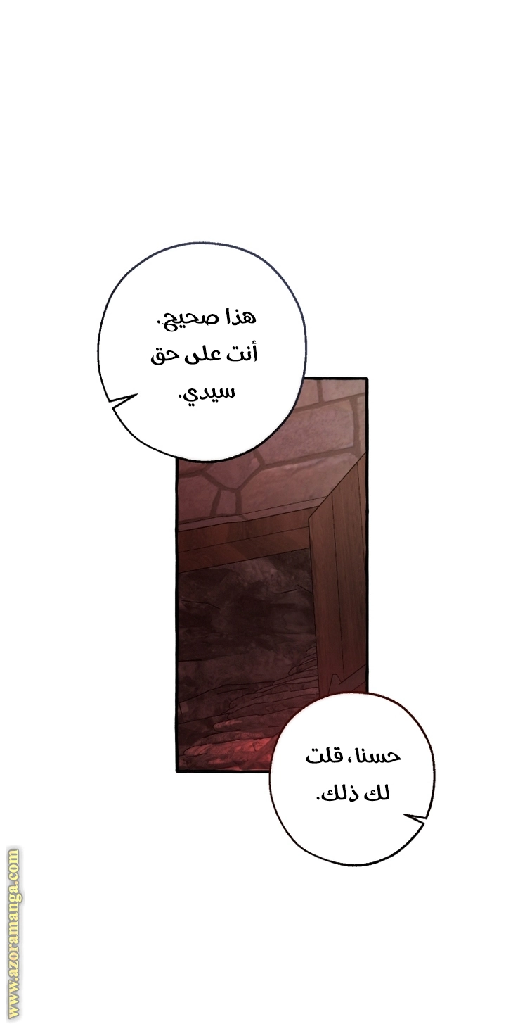 صفحة 41