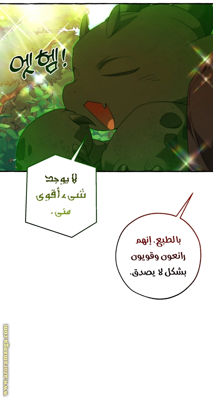 صفحة 31
