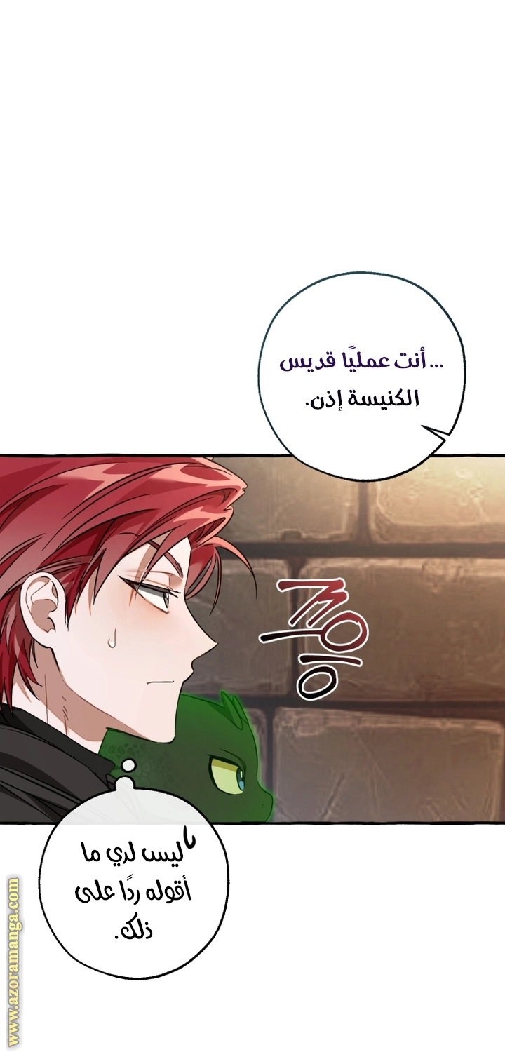 صفحة 31