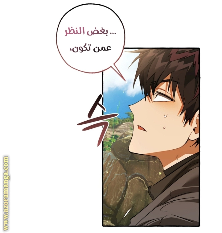 صفحة 43