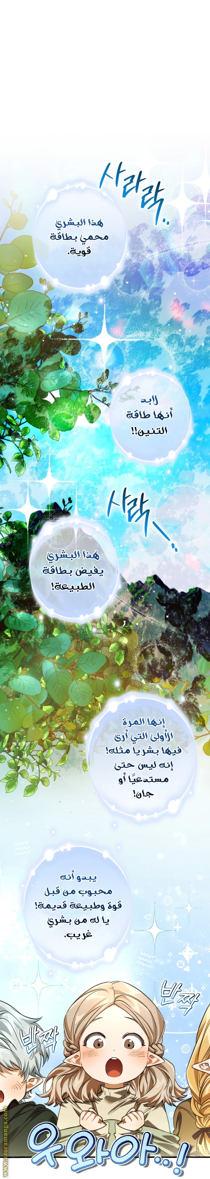 صفحة 24