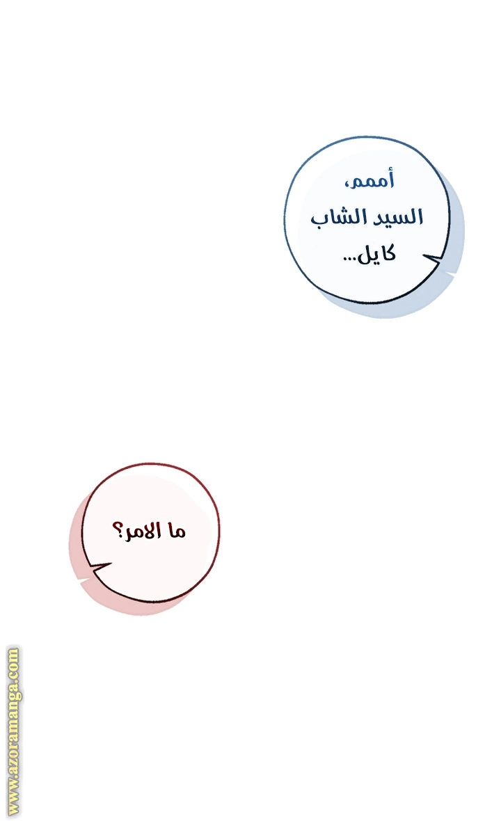 صفحة 39