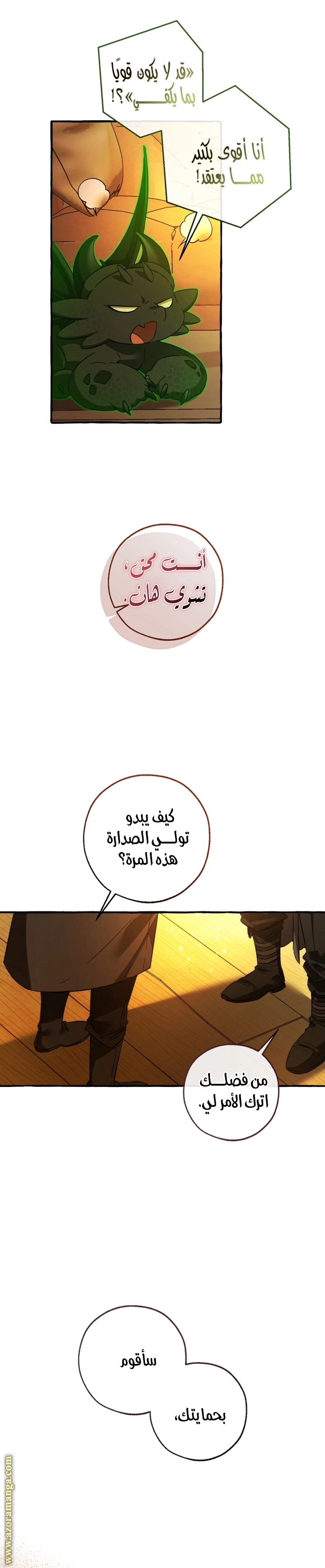 صفحة 11
