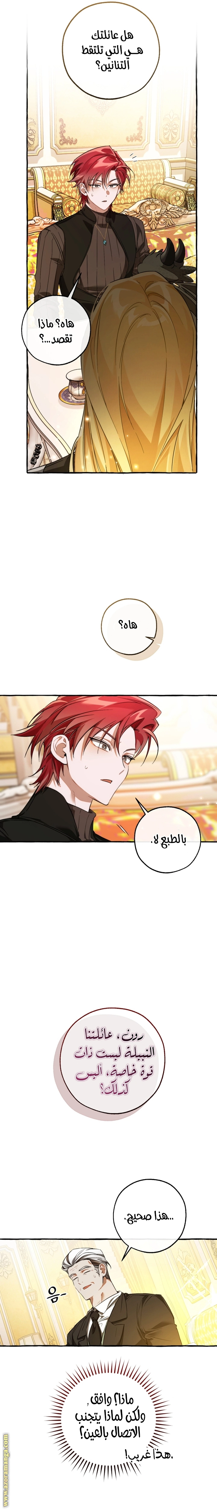 صفحة 17