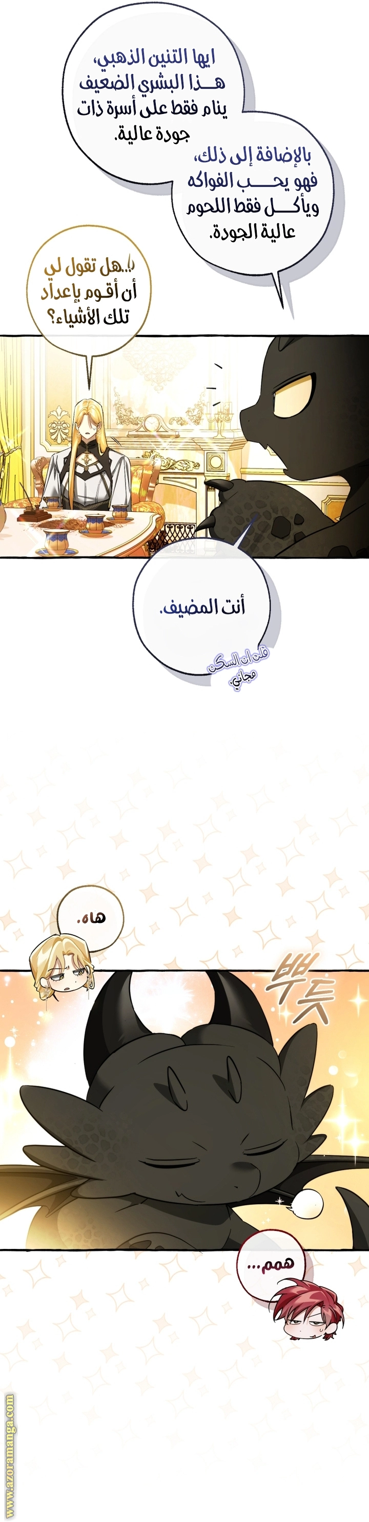 صفحة 13