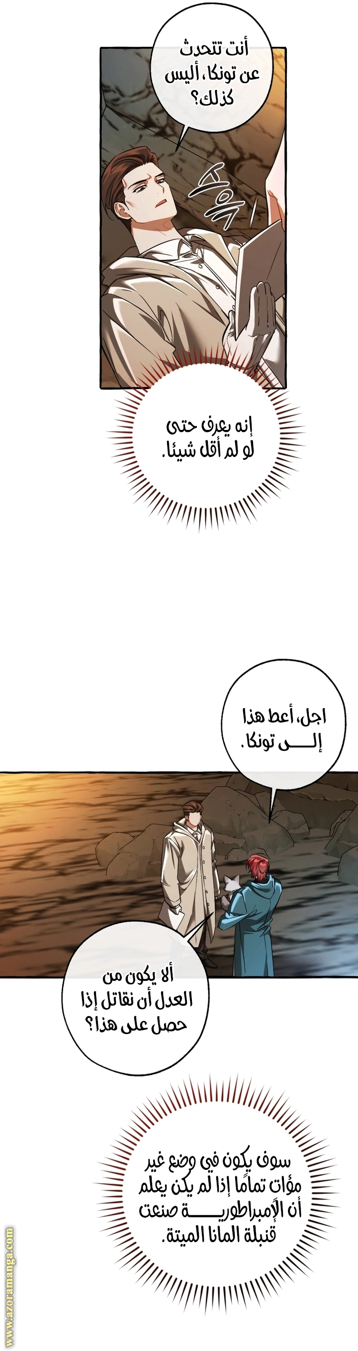 صفحة 13
