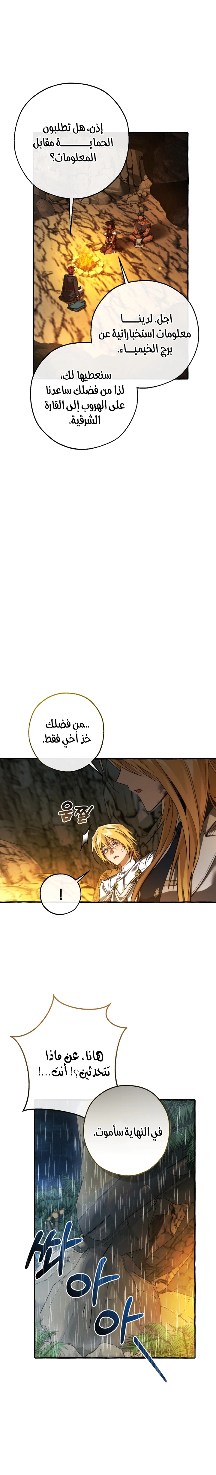 صفحة 13