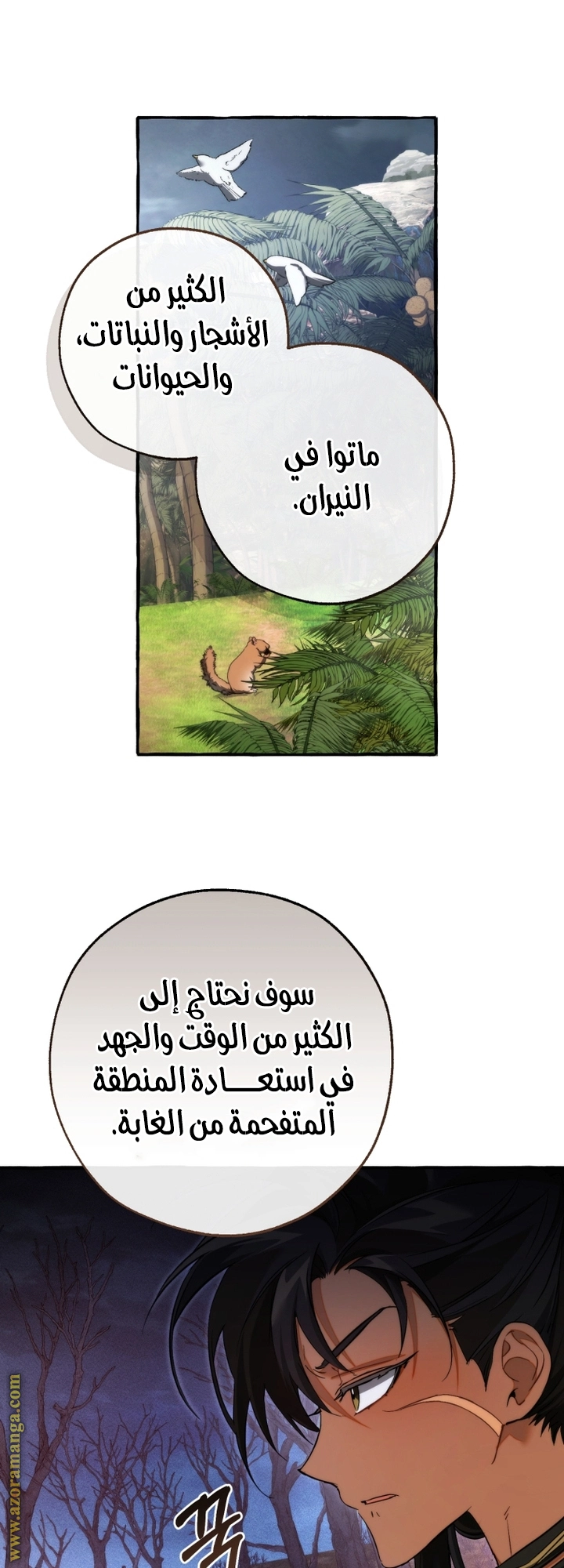 صفحة 19