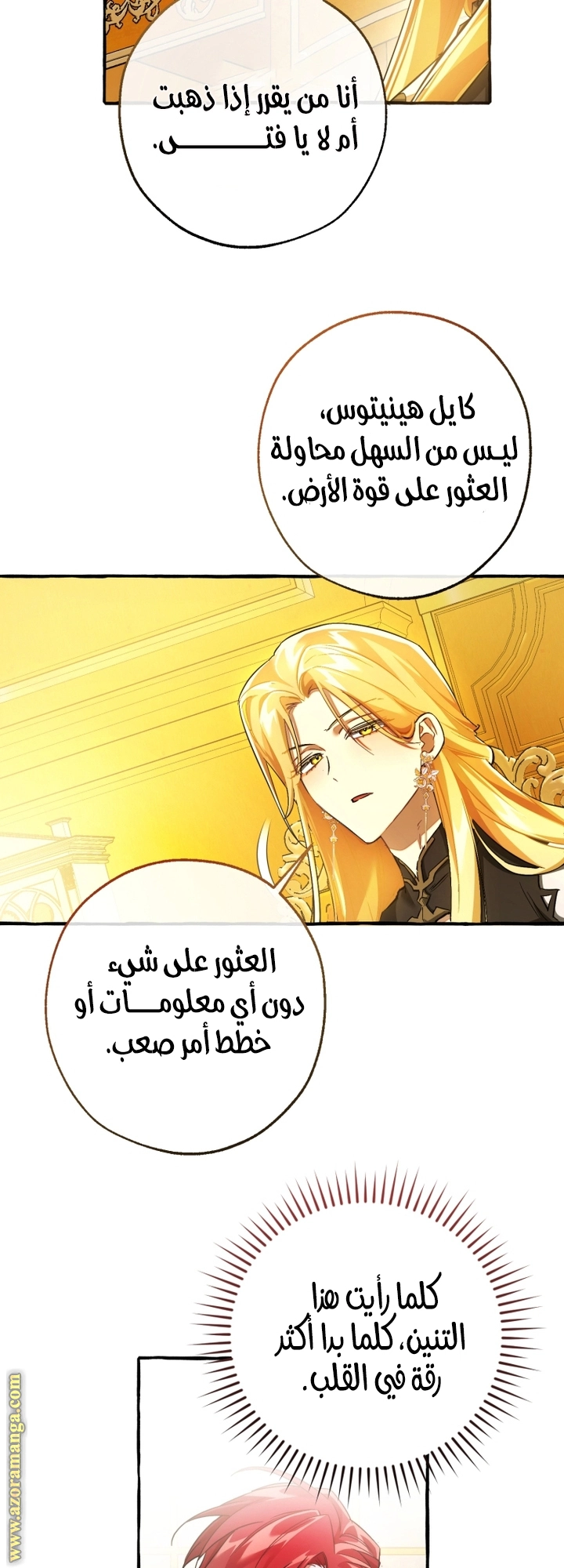 صفحة 17