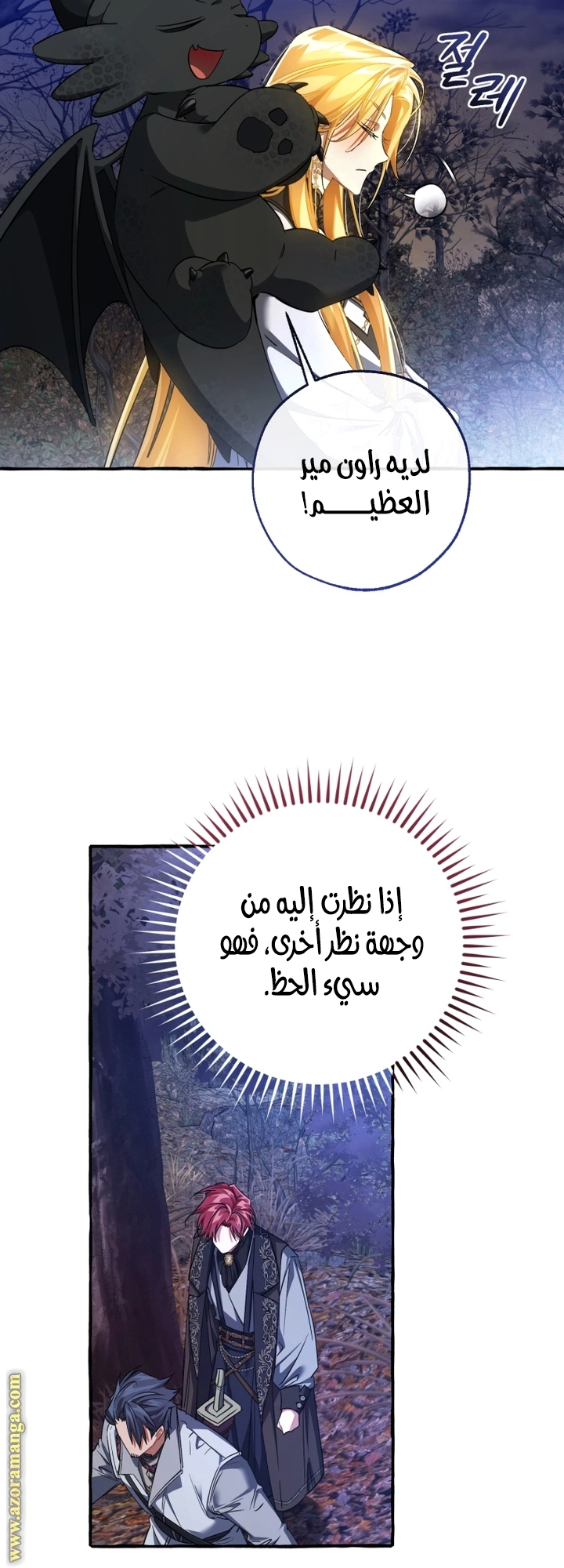 صفحة 27