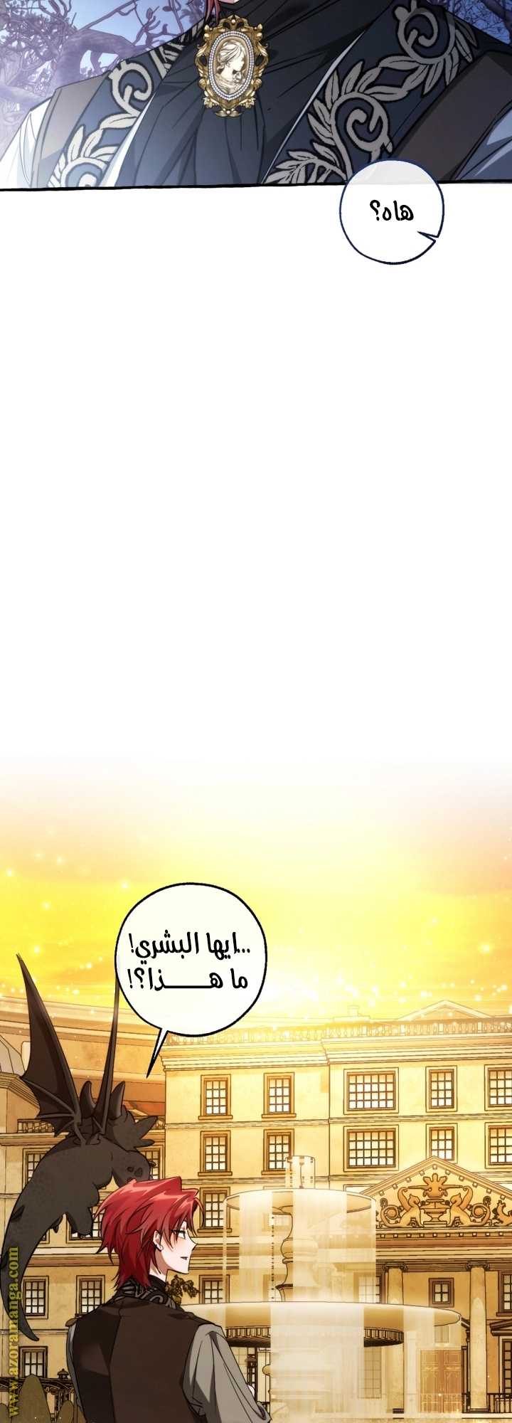 صفحة 54