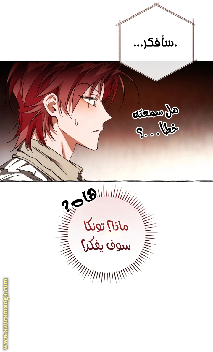 صفحة 17