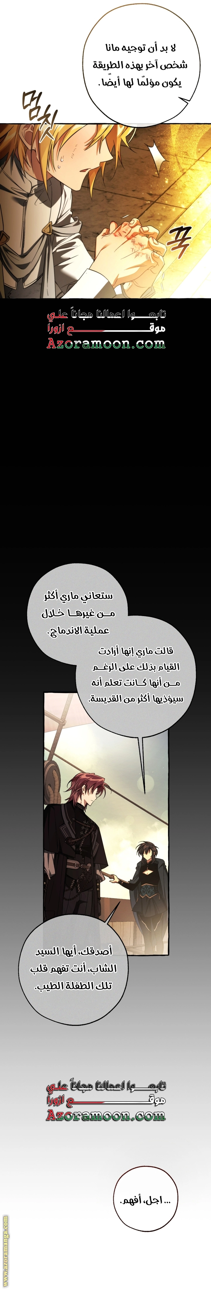 صفحة 13