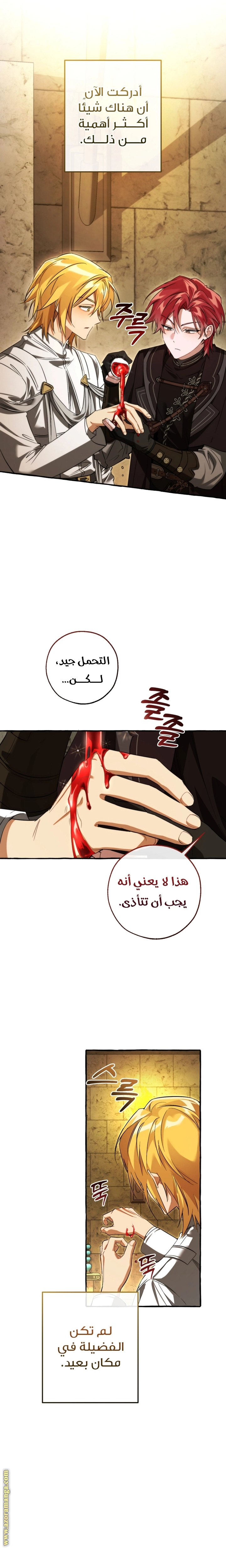 صفحة 17