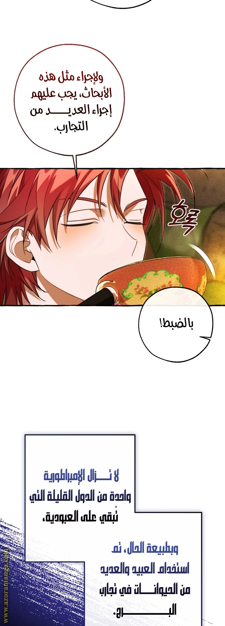 صفحة 46