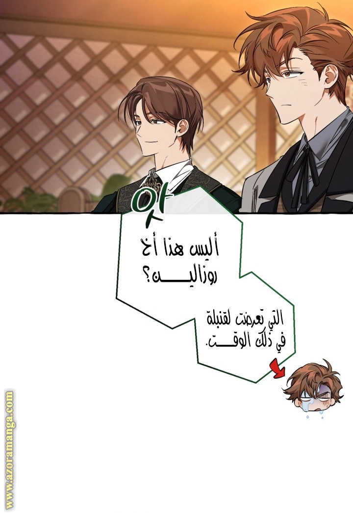 صفحة 21
