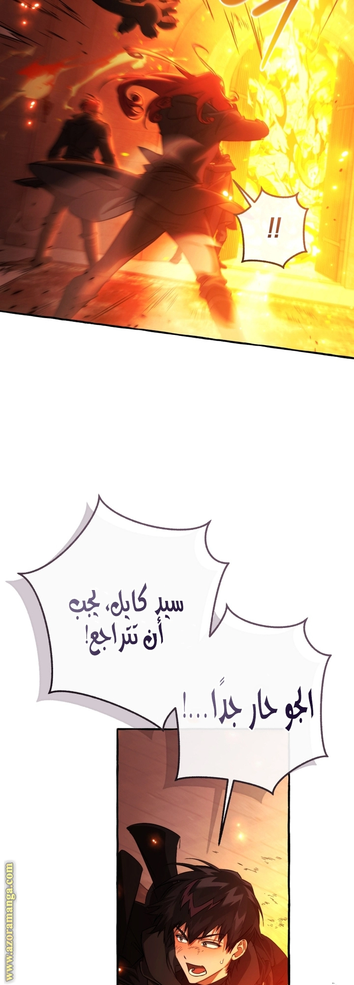 صفحة 17