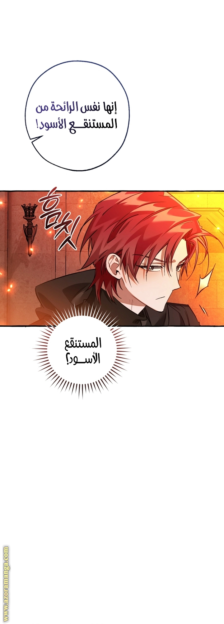 صفحة 24