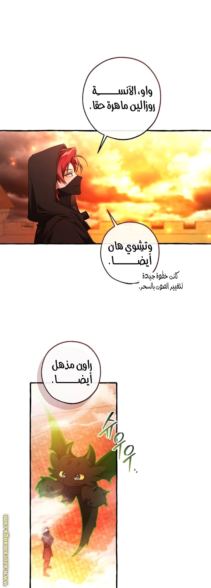 صفحة 20