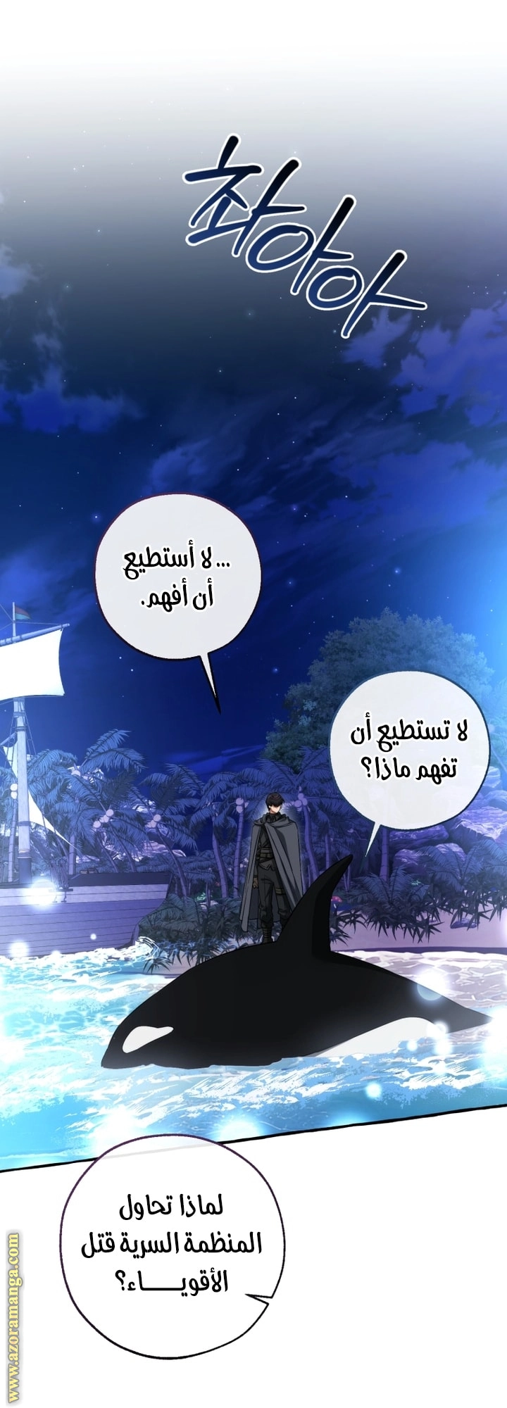 صفحة 41
