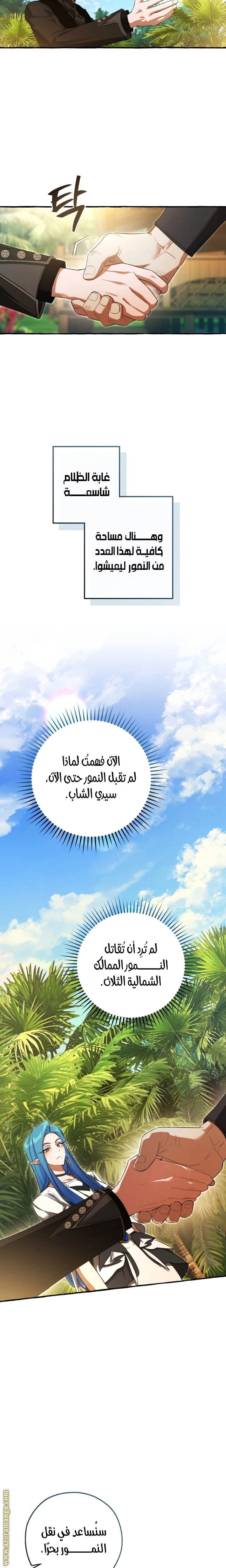 صفحة 17
