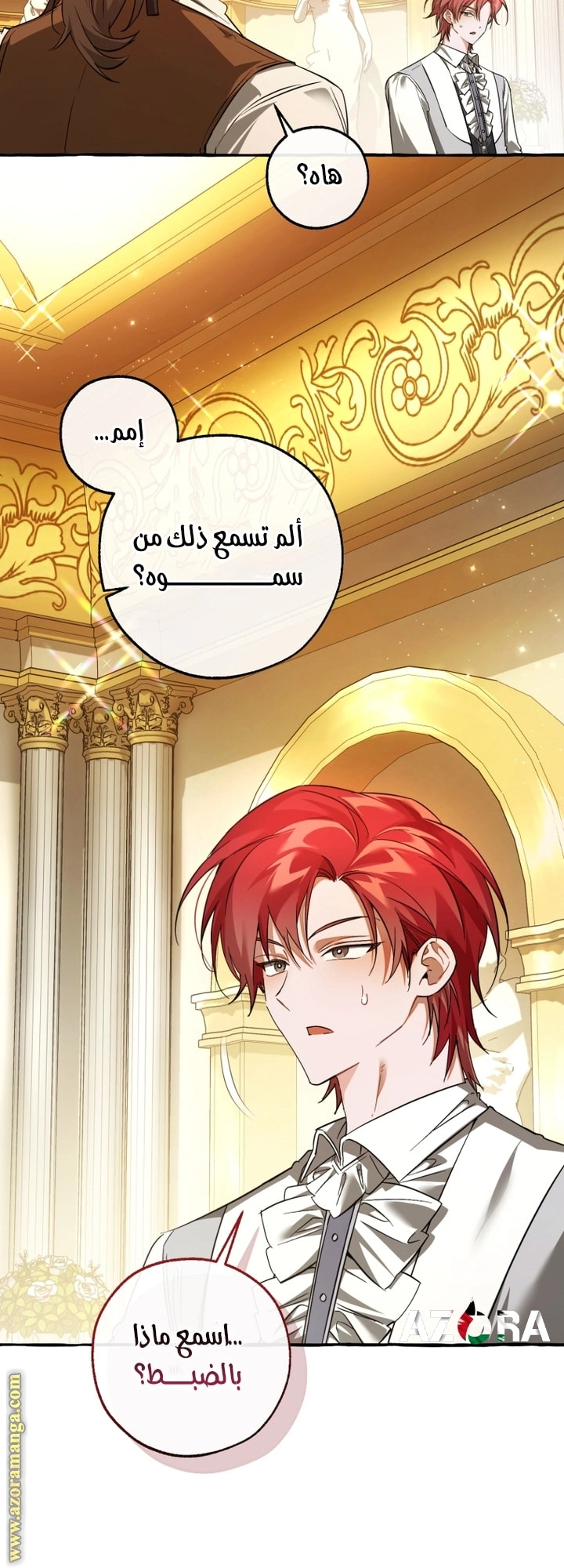 صفحة 17
