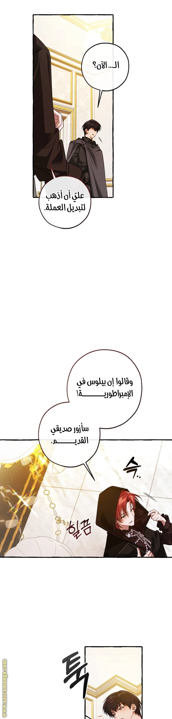 صفحة 17