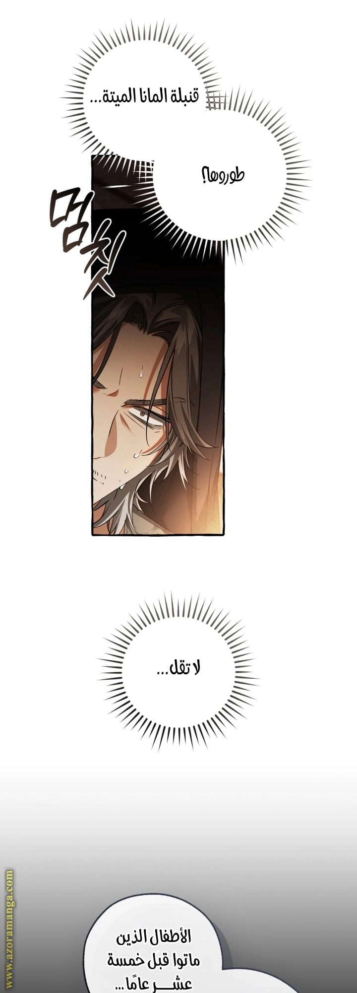 صفحة 17
