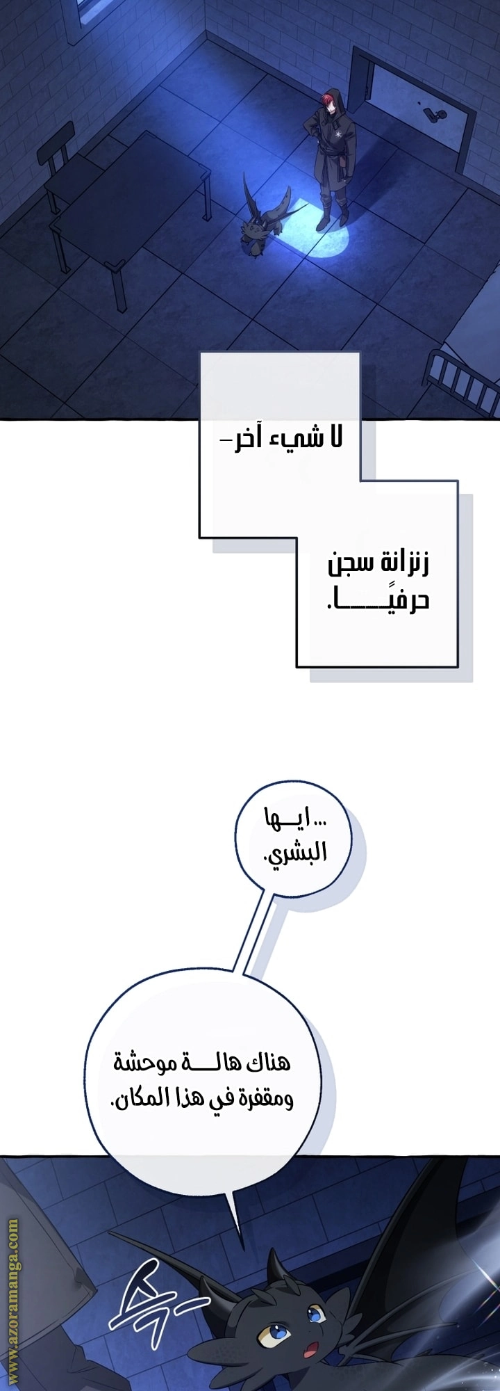 صفحة 13