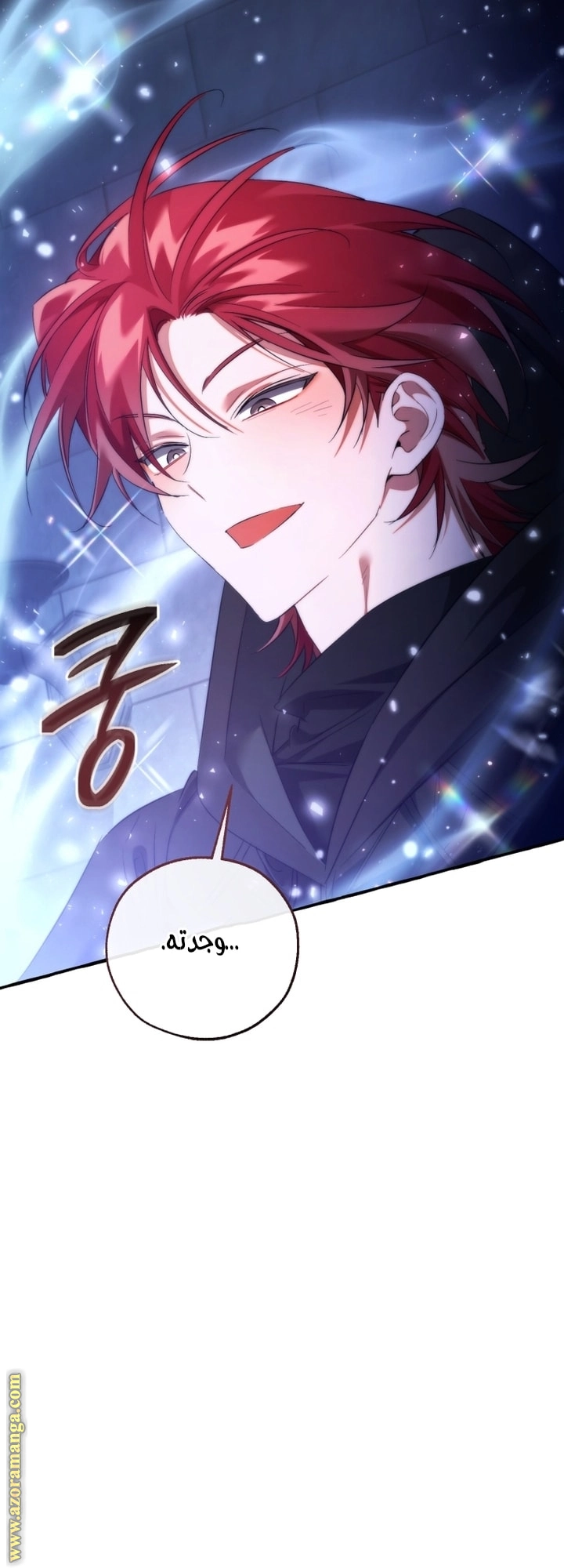 صفحة 17