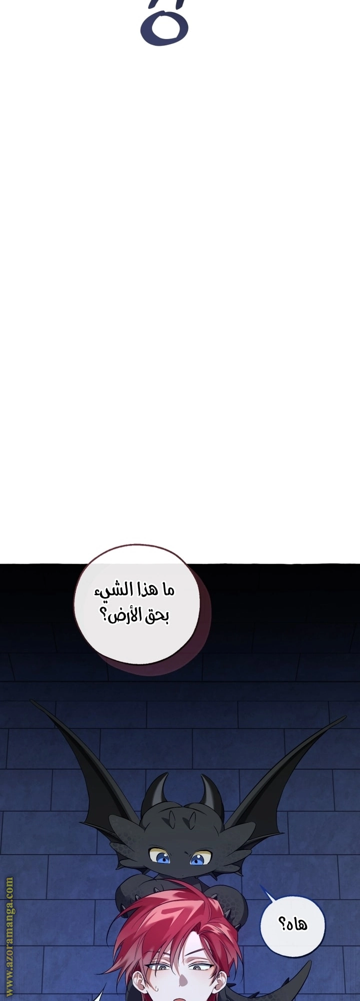 صفحة 20