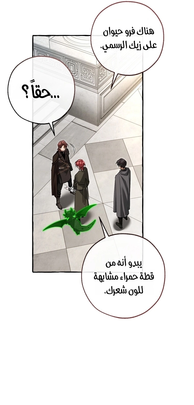 صفحة 17