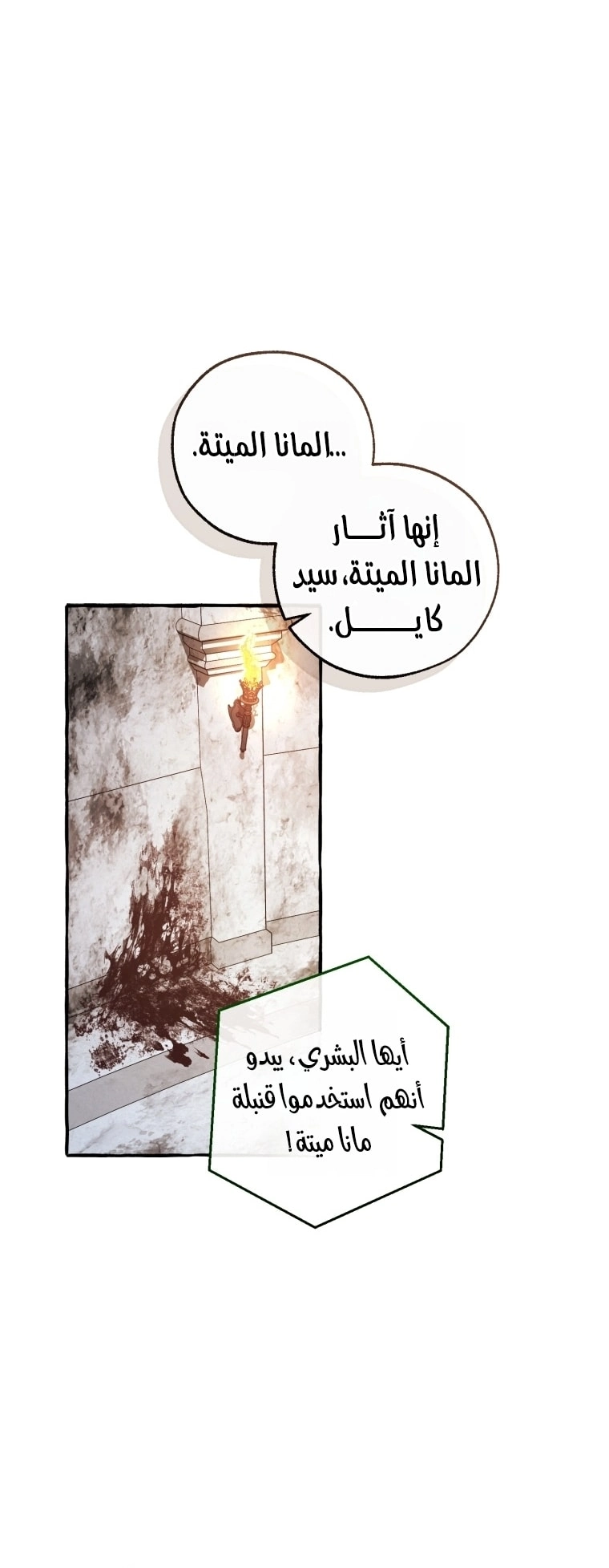 صفحة 3