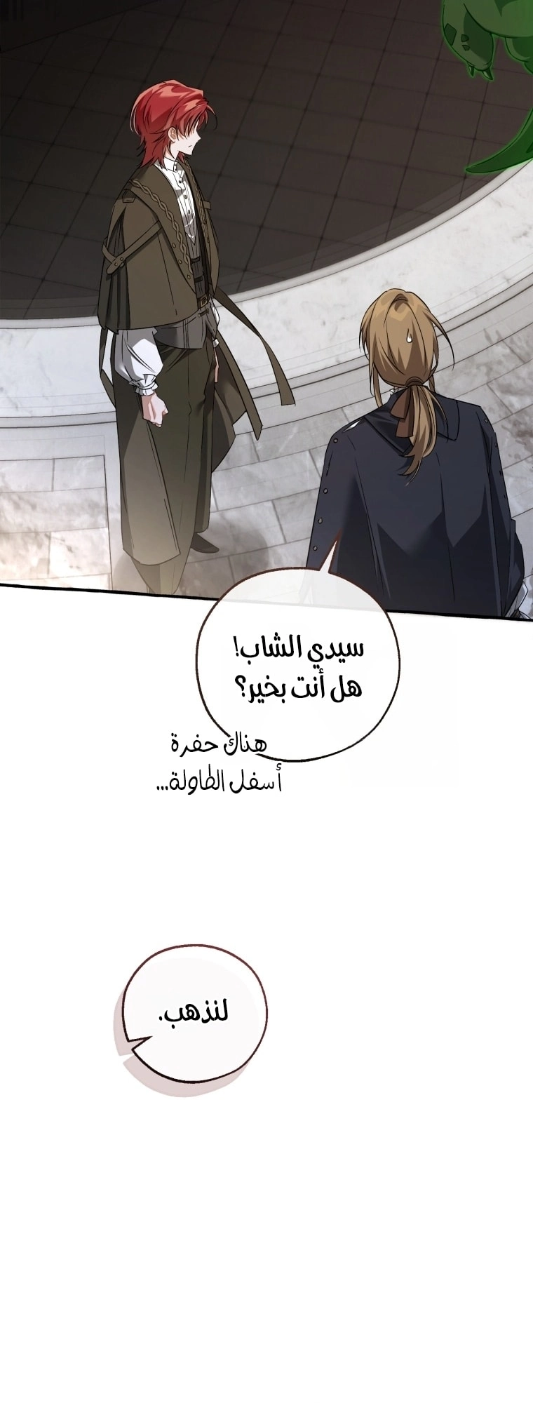 صفحة 17