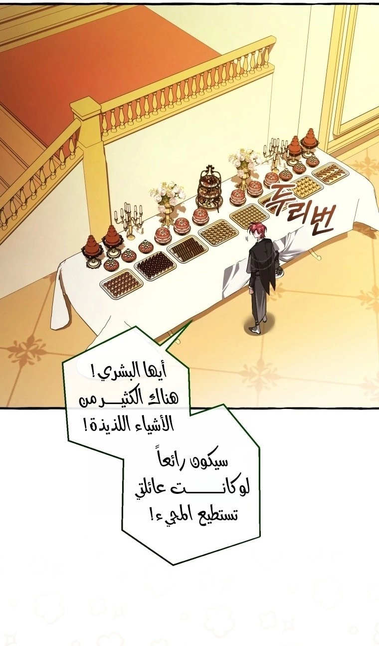 صفحة 41