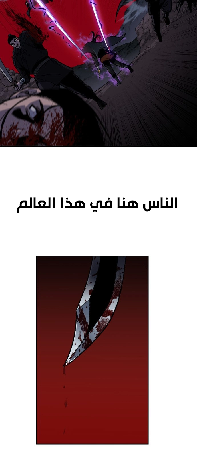 صفحة 13