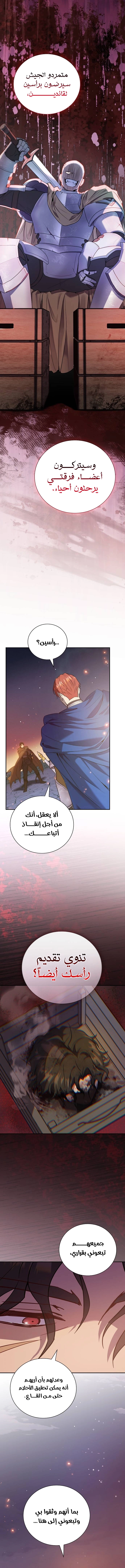 صفحة 17