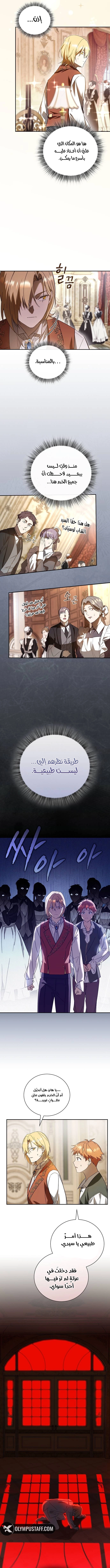 صفحة 13