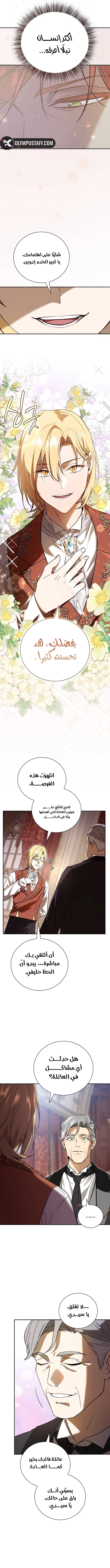 صفحة 17