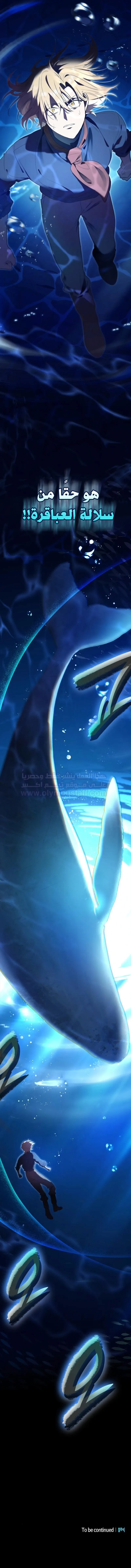 صفحة 17