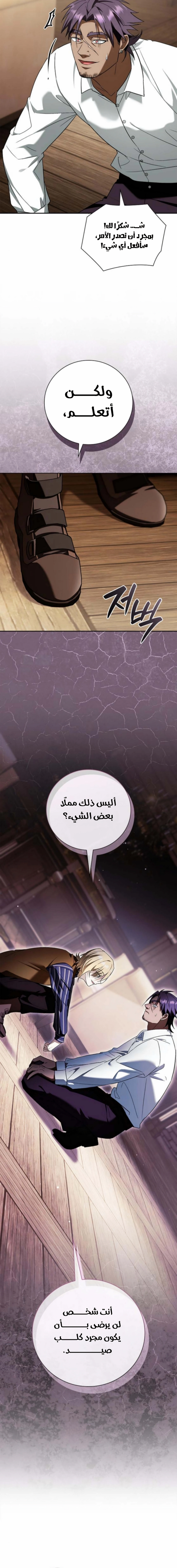 صفحة 17