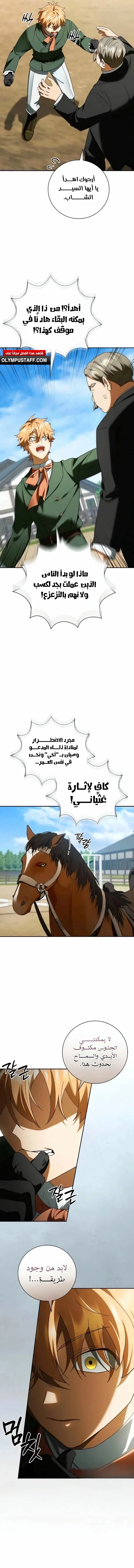 صفحة 17