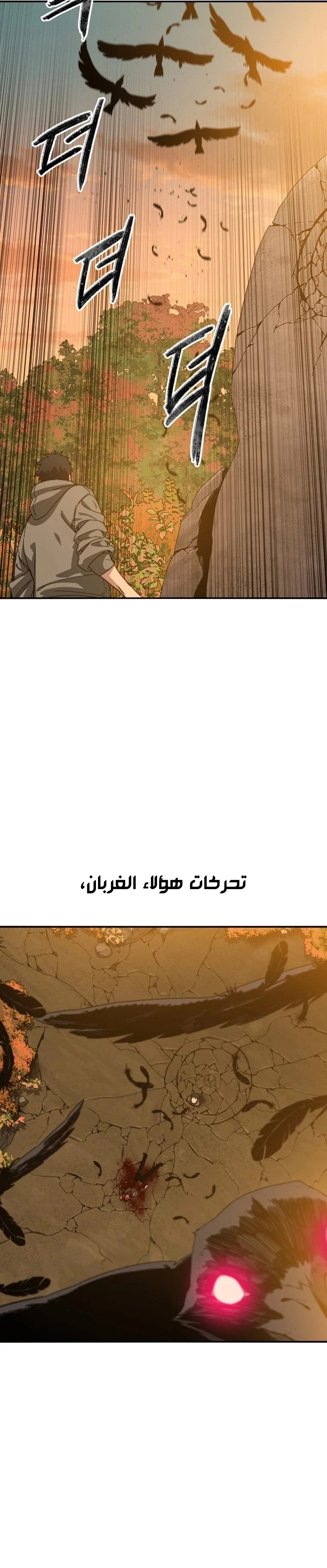 صفحة 11