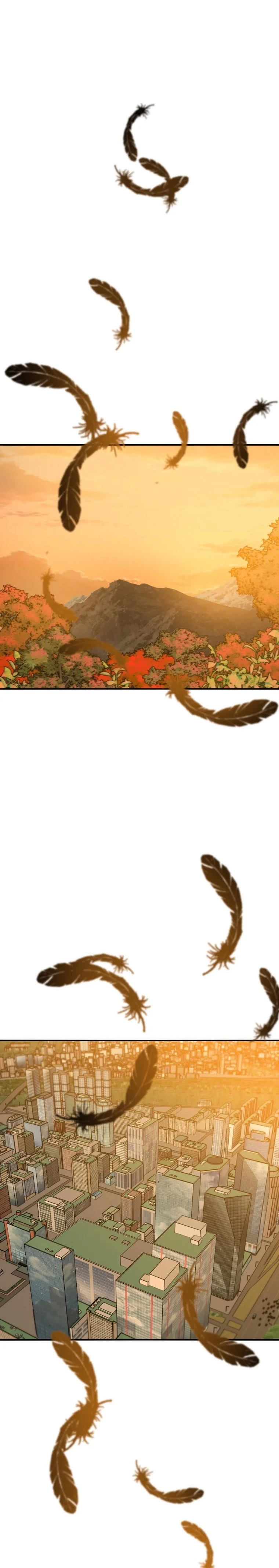 صفحة 17