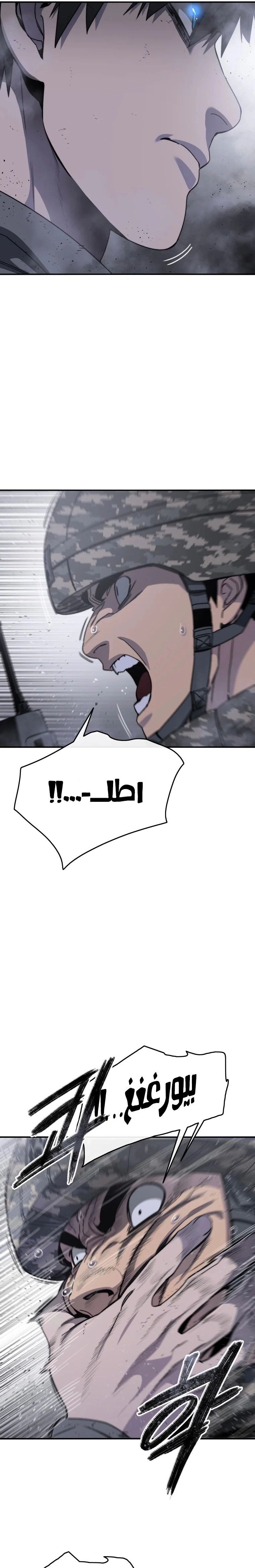 صفحة 13