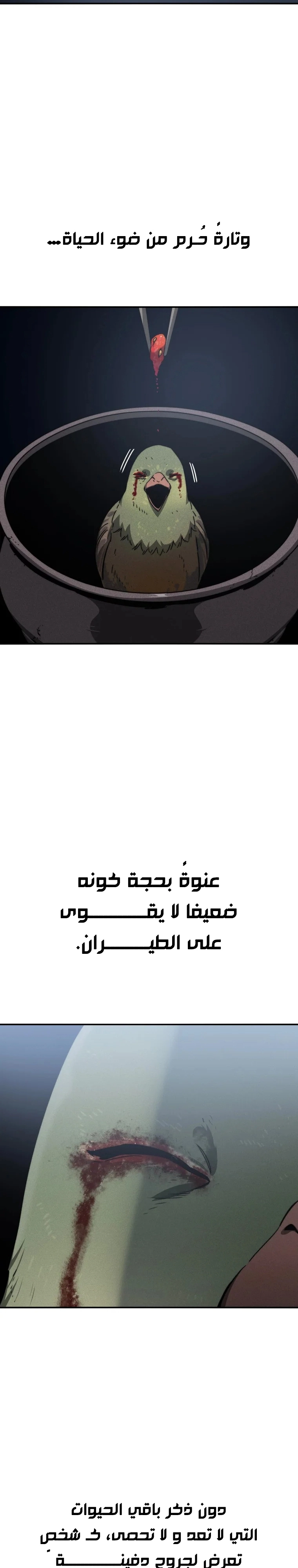 صفحة 7