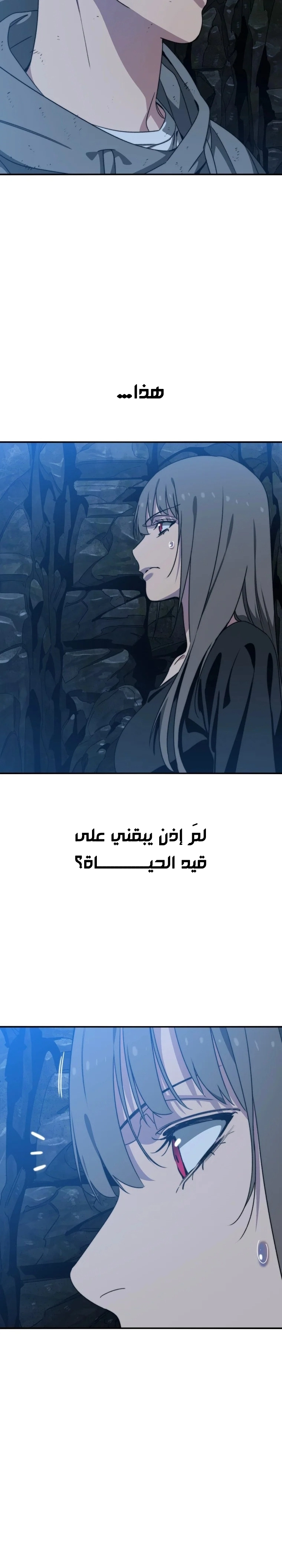 صفحة 14
